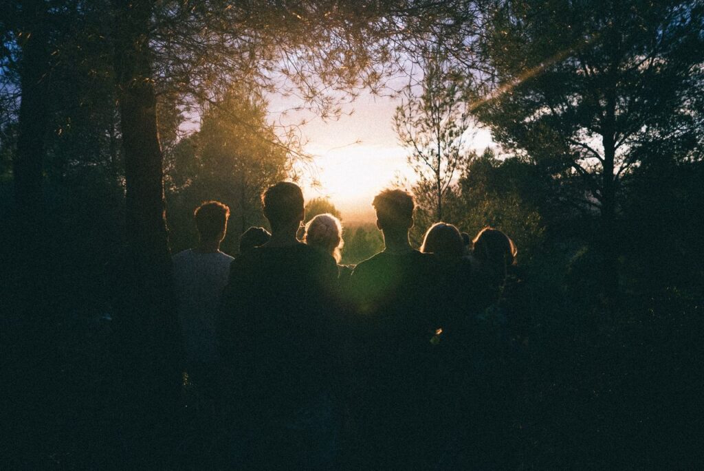 A group of friends enjoying a scenic sunset in a forest, capturing a moment of togetherness.